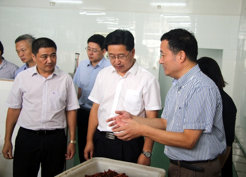 市委書記陳金彪來我公司調(diào)研