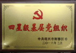 公司黨委獲得“四星級(jí)基層黨組織”稱號(hào)
